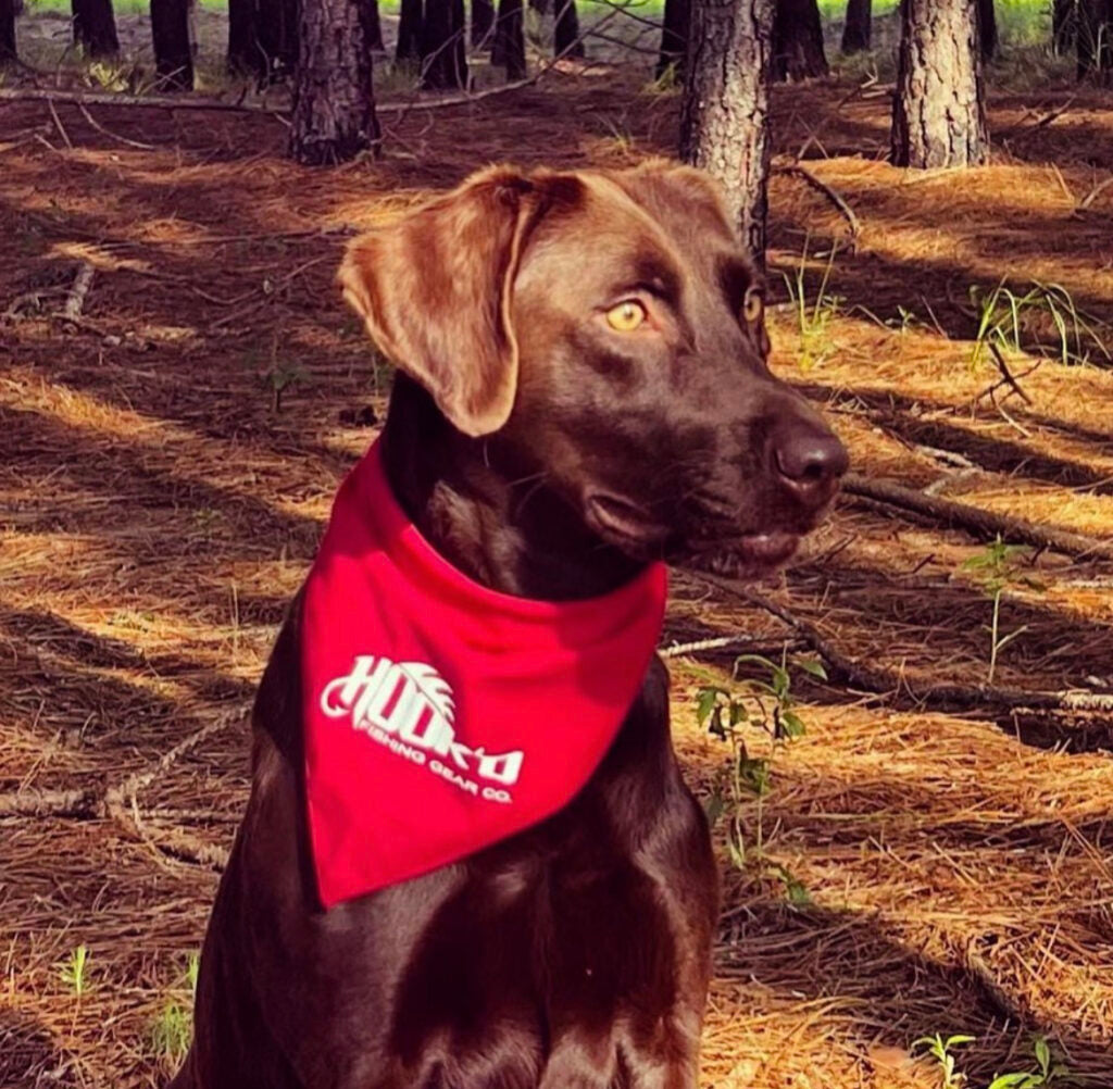 Hook’d Dog Bandana (10)